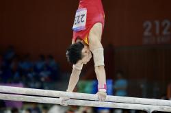 开云体育下载-体操项目夺冠选手震撼登场，无往而不利的简单介绍