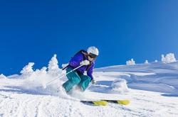 开云体育平台APP-从黄蜂到世界之巅，当贝恩在2026年接管比赛，篮球的轮回与新生