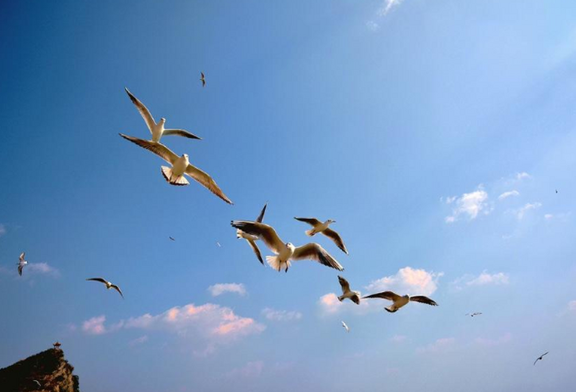 包含雄鹿绝杀灰熊,拉塞尔绝境逆转的词条 包含雄鹿绝杀灰熊,拉塞尔绝境逆转的词条